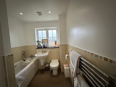 Picture 20